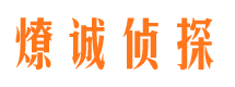 沙市市调查公司